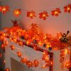 Jesenný list LED žiarovka rad dekorácie 40 LED , 8 m teplá biela , javorový list