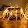Vianočný LED žiarovka plastová teplá biela Elemes C2013 (20LED/2,85m/15cm)