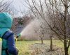 Akumulátorová vysokotlaková umývačka, prietok vody 6 l/min, 36 V batéria, akčný rádius 6-8 m