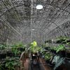 Tieniaca sieť z lieskových orechov - 1,5 x 15 m, 98% krytie, 200 g/m2, vonkajšia