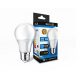 Zelux Led Globe 10W E27 4000K Globe Bulb