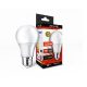 Zelux Led Globe 14W E27 3000K Globe Bulb